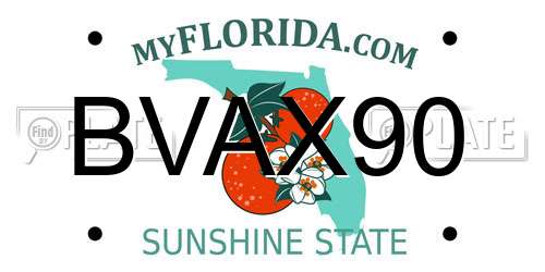 BVAX90 Florida License Plate