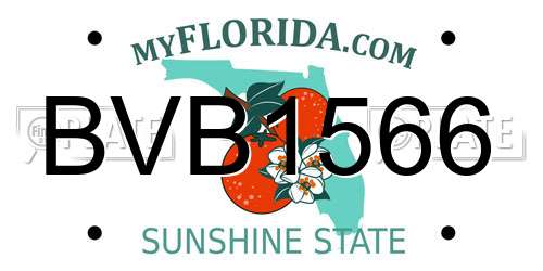 BVB1566 Florida License Plate