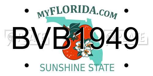 BVB1949 Florida License Plate