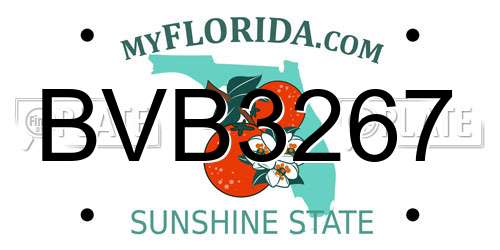 BVB3267 Florida License Plate