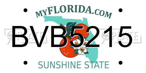 BVB5215 Florida License Plate