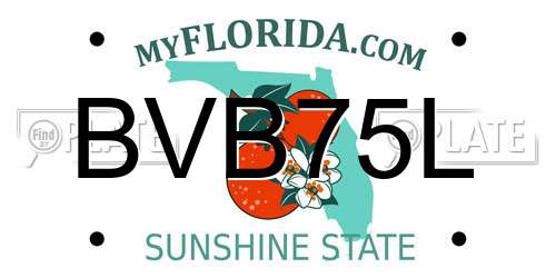 BVB75L Florida License Plate