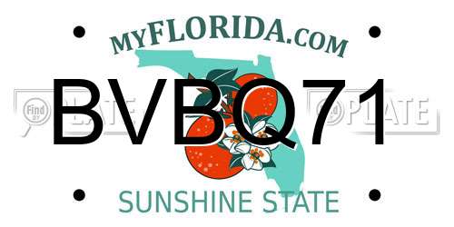 BVBQ71 Florida License Plate