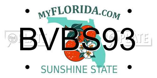 BVBS93 Florida License Plate