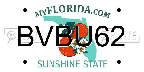 BVBU62 Florida License Plate
