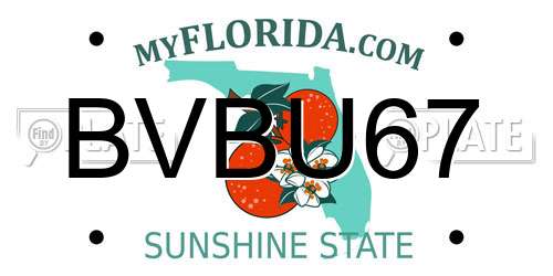 BVBU67 Florida License Plate