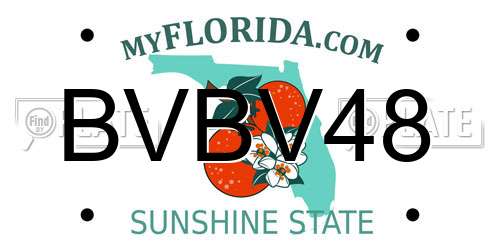 BVBV48 Florida License Plate