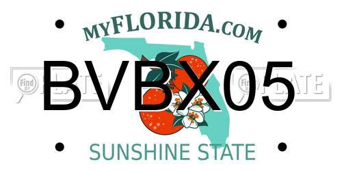 BVBX05 Florida License Plate