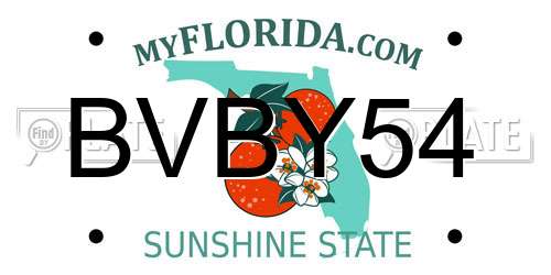 BVBY54 Florida License Plate