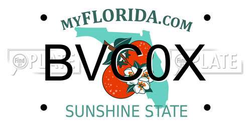BVC0X Florida License Plate