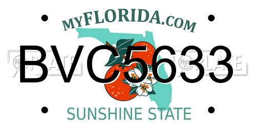 BVC5633 Florida License Plate