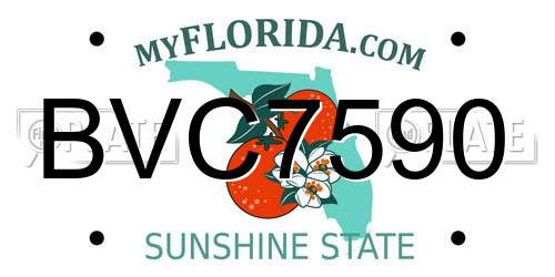 BVC7590 Florida License Plate