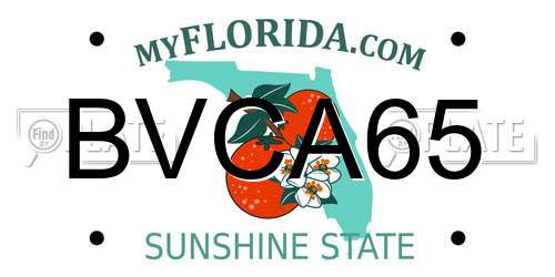 BVCA65 Florida License Plate