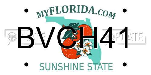 BVCH41 Florida License Plate