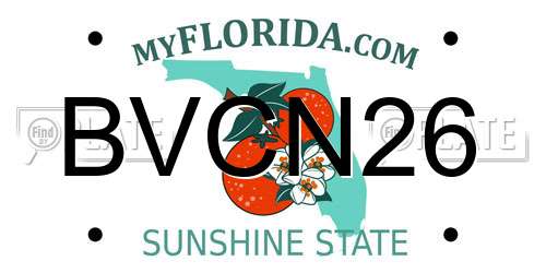 BVCN26 Florida License Plate