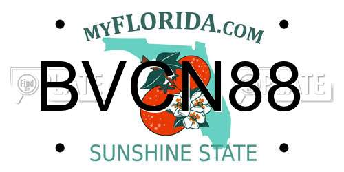 BVCN88 Florida License Plate