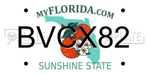 BVCX82 Florida License Plate