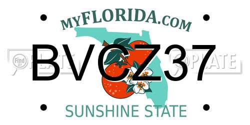 BVCZ37 Florida License Plate