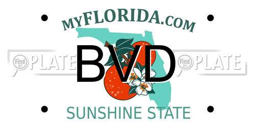 BVD Florida License Plate