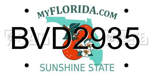 BVD2935 Florida License Plate