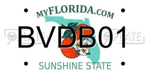 BVDB01 Florida License Plate