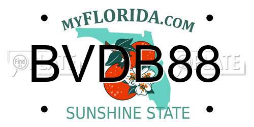 BVDB88 Florida License Plate