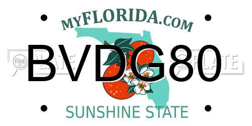 BVDG80 Florida License Plate