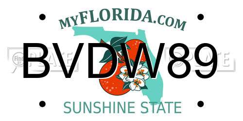BVDW89 Florida License Plate