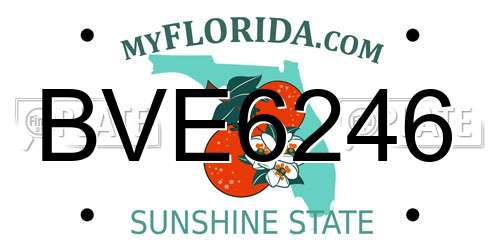 BVE6246 Florida License Plate
