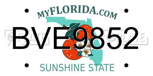 BVE9852 Florida License Plate