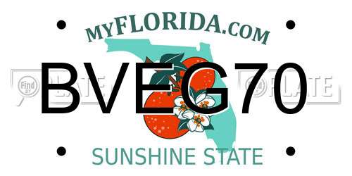 BVEG70 Florida License Plate