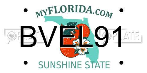 BVEL91 Florida License Plate