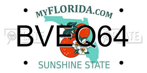 BVEQ64 Florida License Plate