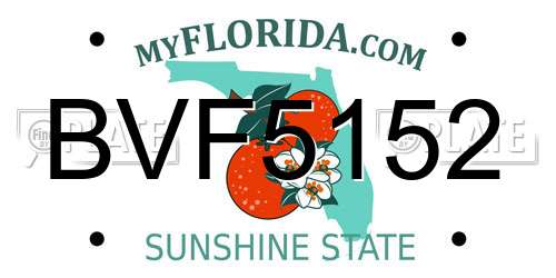 BVF5152 Florida License Plate