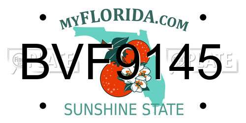 BVF9145 Florida License Plate