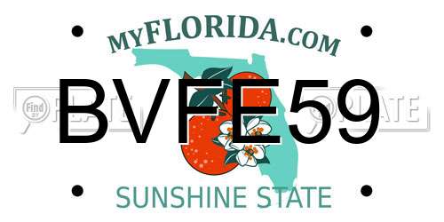 BVFE59 Florida License Plate