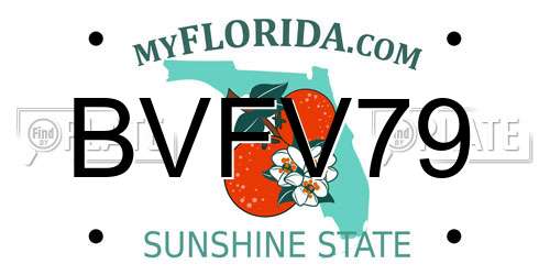 BVFV79 Florida License Plate