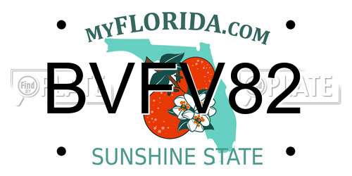 BVFV82 Florida License Plate