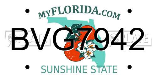 BVG7942 Florida License Plate
