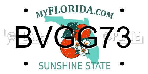 BVGG73 Florida License Plate