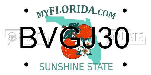 BVGJ30 Florida License Plate