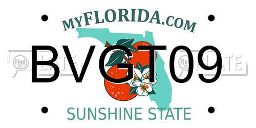 BVGT09 Florida License Plate
