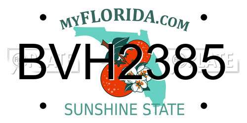 BVH2385 Florida License Plate