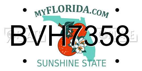 BVH7358 Florida License Plate