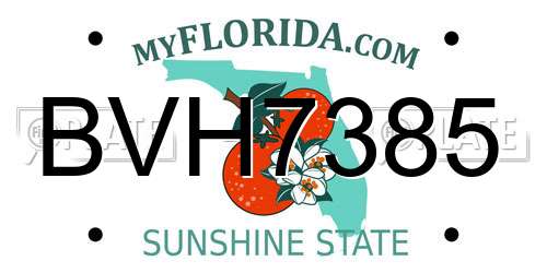 BVH7385 Florida License Plate