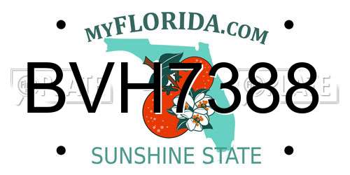 BVH7388 Florida License Plate