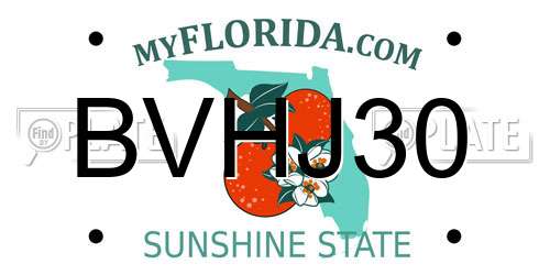 BVHJ30 Florida License Plate