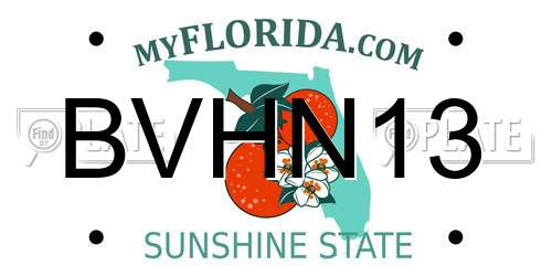 BVHN13 Florida License Plate