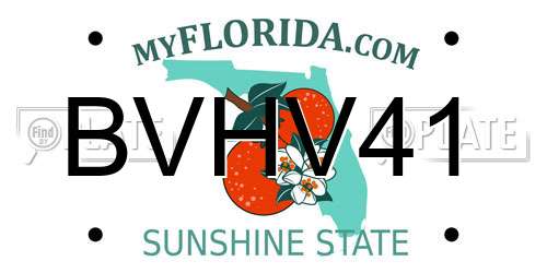 BVHV41 Florida License Plate