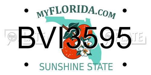 BVI3595 Florida License Plate